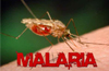 Malaria care guidelines meet held for medics
